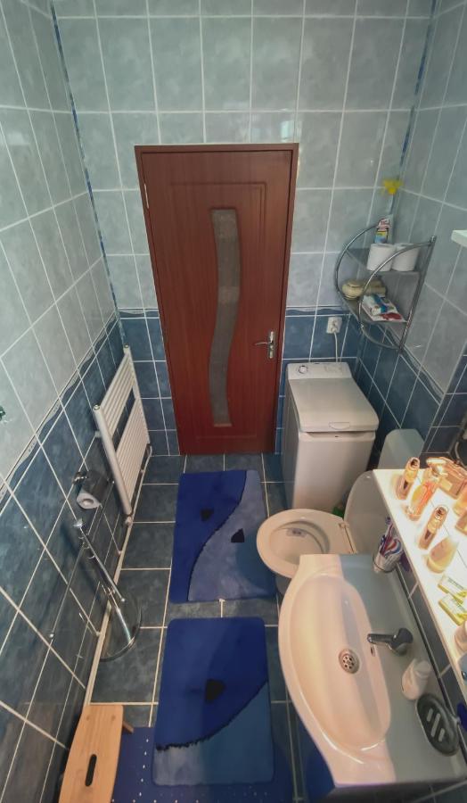 Apartament Cristian Geoagiu Bai Bagian luar foto