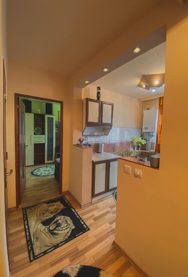 Apartament Cristian Geoagiu Bai Bagian luar foto