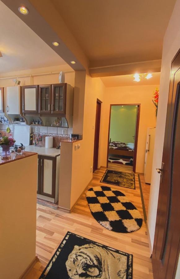 Apartament Cristian Geoagiu Bai Bagian luar foto