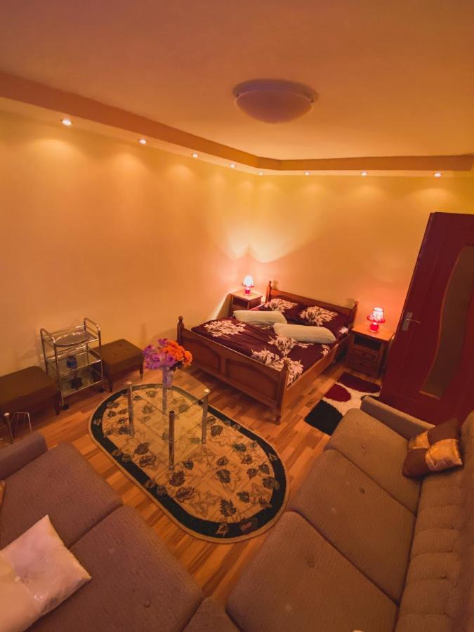 Apartament Cristian Geoagiu Bai Bagian luar foto