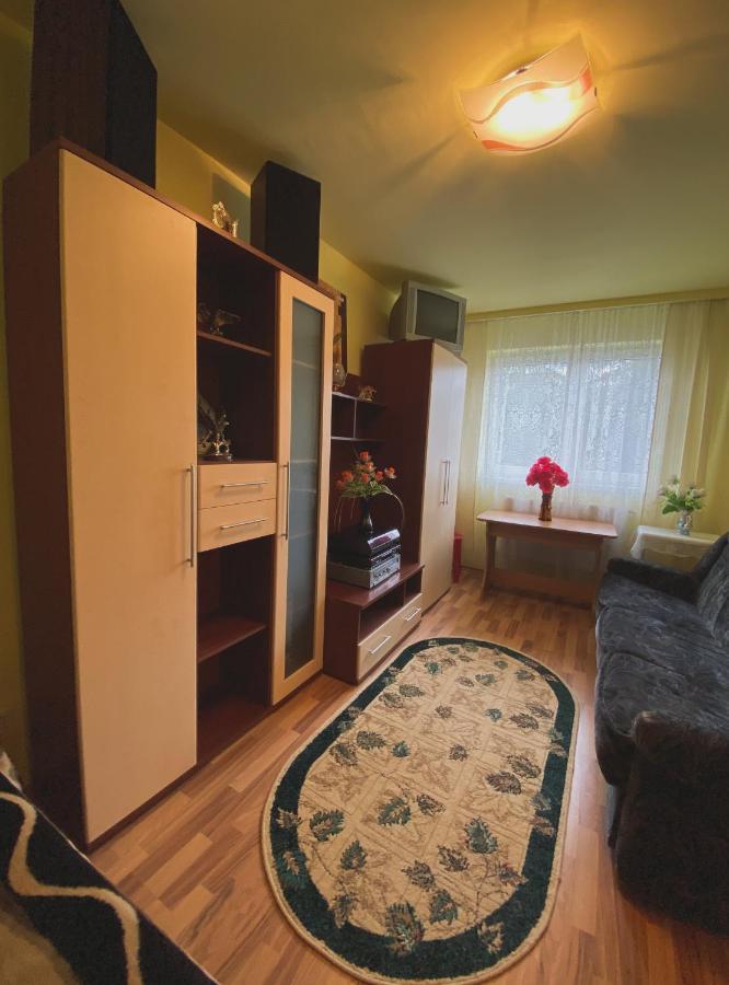 Apartament Cristian Geoagiu Bai Bagian luar foto