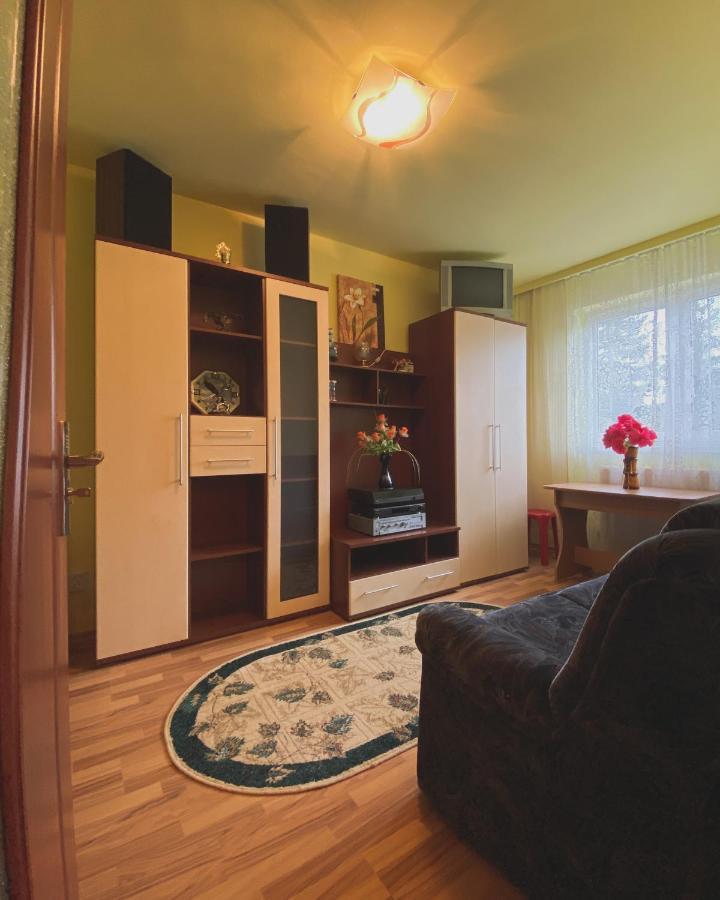 Apartament Cristian Geoagiu Bai Bagian luar foto