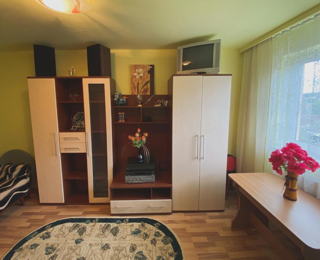 Apartament Cristian Geoagiu Bai Bagian luar foto
